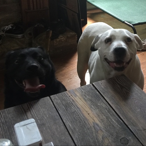 Meet your Posher, Jessica - Picture 4 of 7